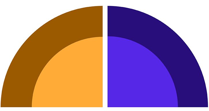 Diagram of a circle split into two equal halves. The left half contains an outer brown segment and an inner orange segment. The right half features an outer dark purple segment and an inner light purple segment.