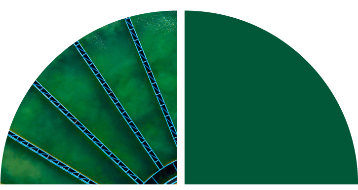Blue long tracks fanned out with a green background.