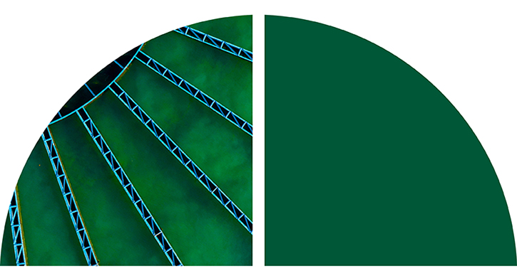 A semi-circle containing diagonal blue structural lines over a textured green background.