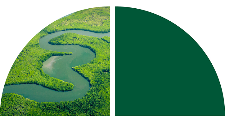 Aerial view of a winding river through lush green.
