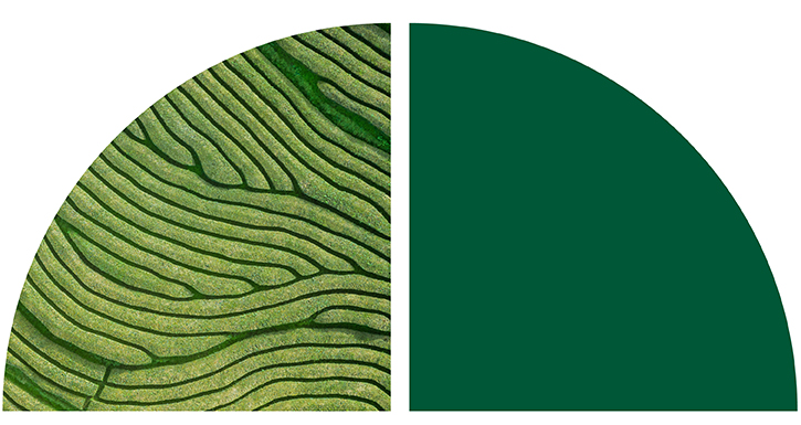 An aerial view of green terraced fields with organic, wavy lines.