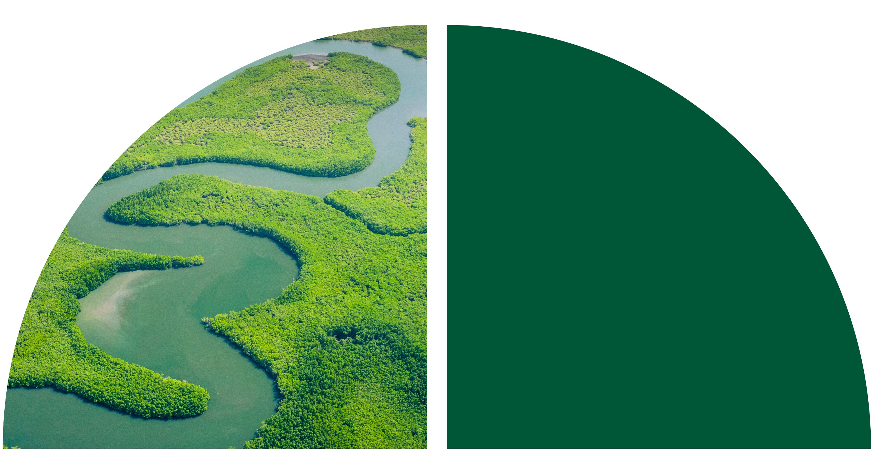 An aerial view of a winding river through lush green wetlands.